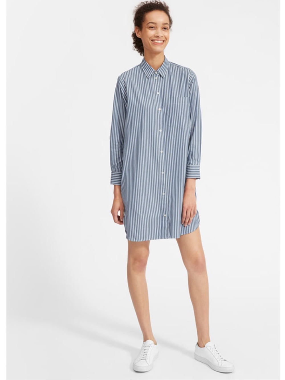 Everlane The Cotton Shirtdress Striped Collared Size 8 Blue White 100% Cotton